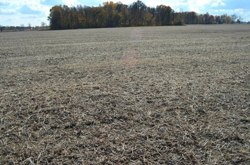 Property photo 2 - 75.3 Acres Offered in 2 Tracts